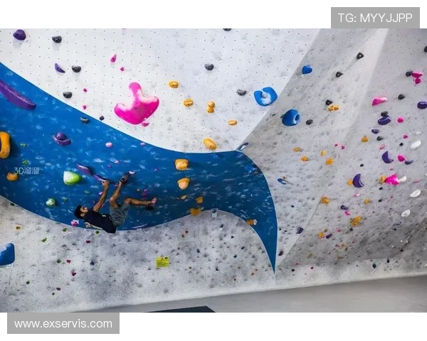 成都攀岩队在极限运动嘉年华中的精彩表现与技术分析